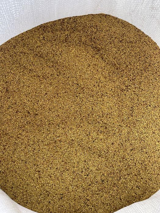 семе люцерна 2025