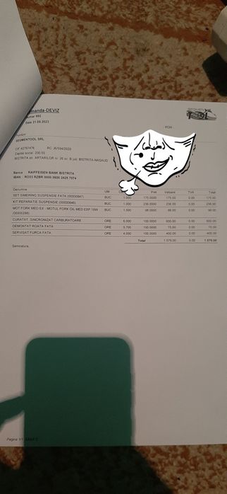 Kawasaki ninja zx9r 900 1999 aerografiat UNICAT