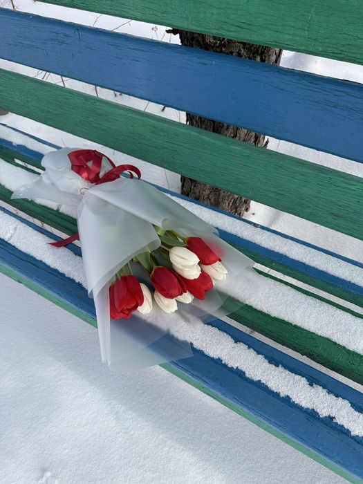 Караганда тюльпаны