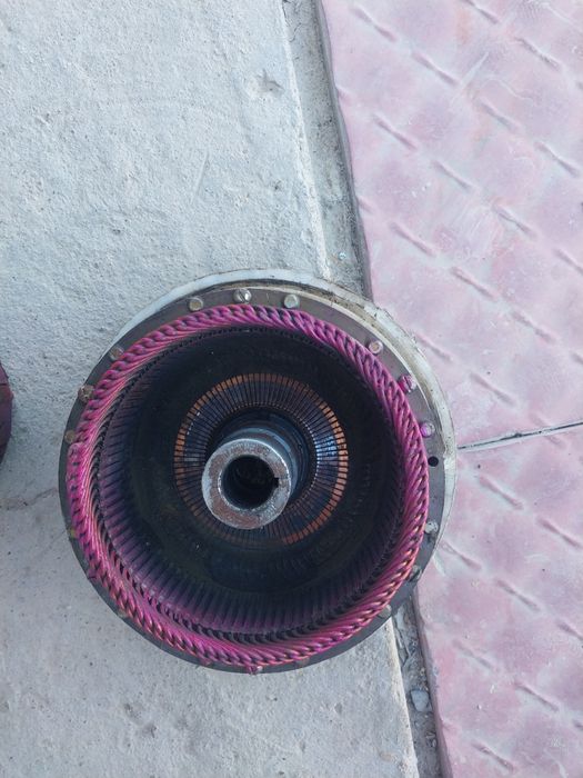 Запчас муравей .