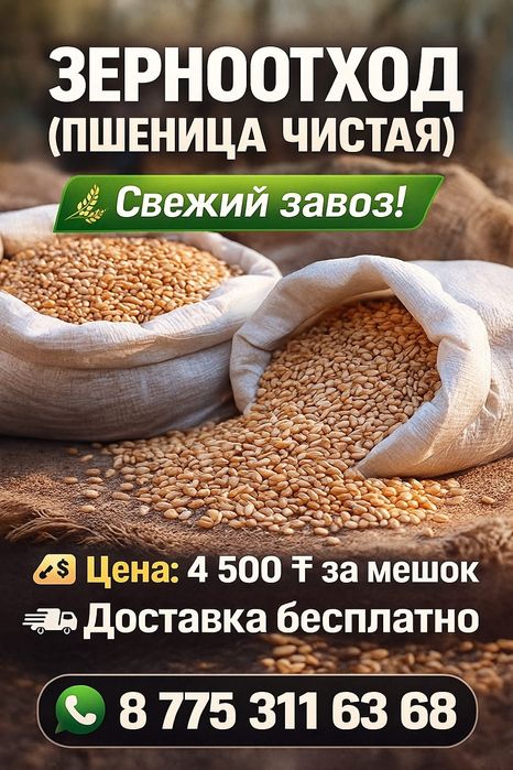 Зерноотходы пшеницы