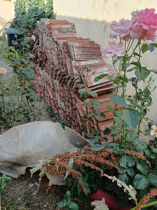 Țiglă foarte bună de vânzare