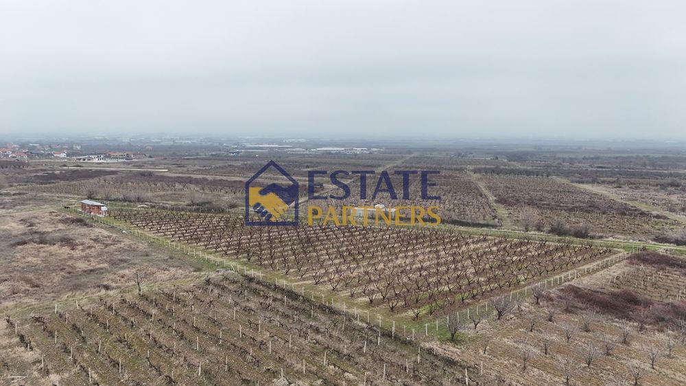 Продава се Парцел в с. Браниполе, Област Пловдив - 8098 кв.м за 18 €/кв.м - Снимка #6