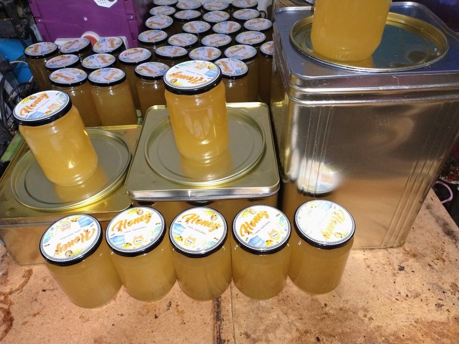 Продавам пчелен мед от рапица