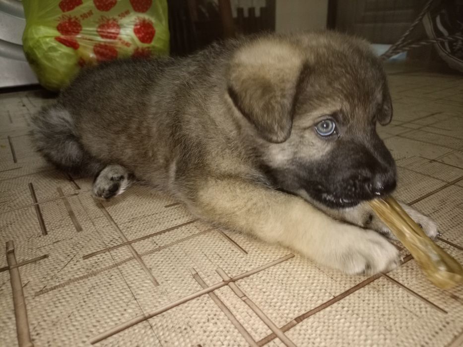 Мальчик красавчик