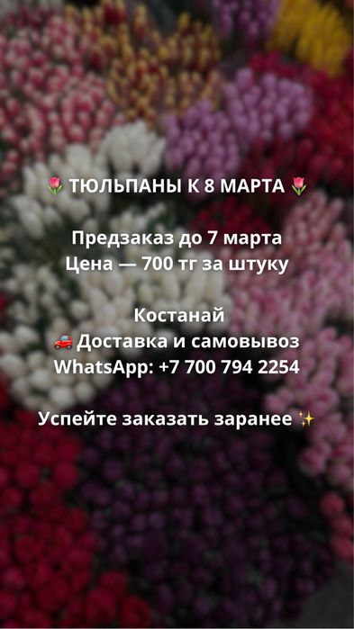 Тюльпаны костанай