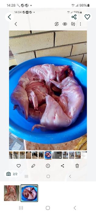 Мясо кролика  продам