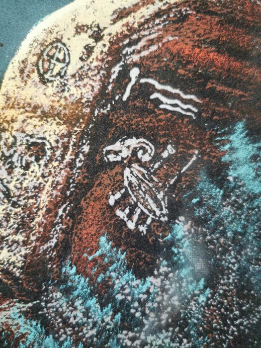 Картина от черно кадифе рамка подпис Вожд с Бизон от Ернесто Санчес