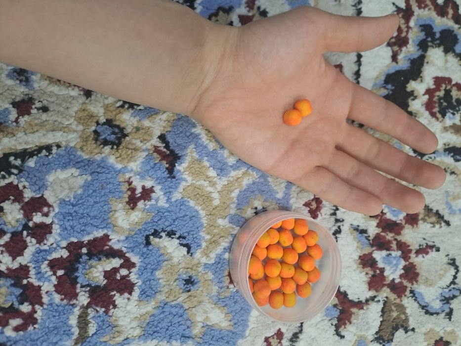 Продаю приманки, бойлы,контейнер