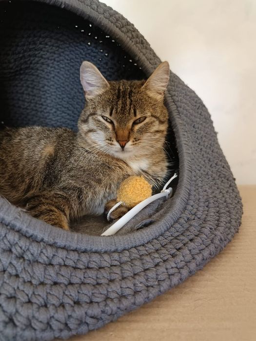 В ответственные руки