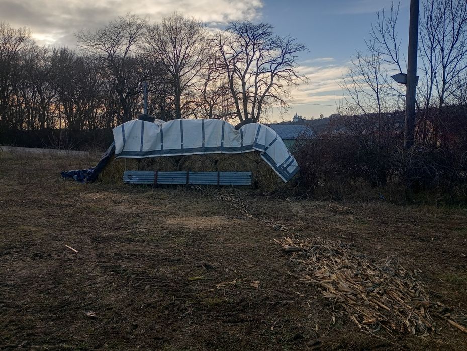 Baloți dreptunghiulari de LUCERNĂ,PAIE