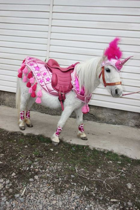 продам пони, кобылу с жеребенком