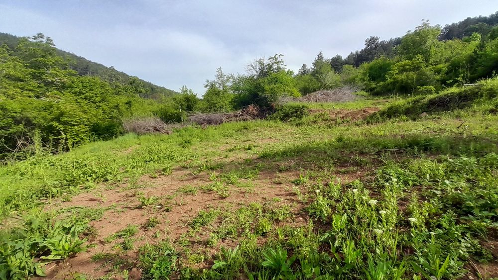 Панорамен парцел