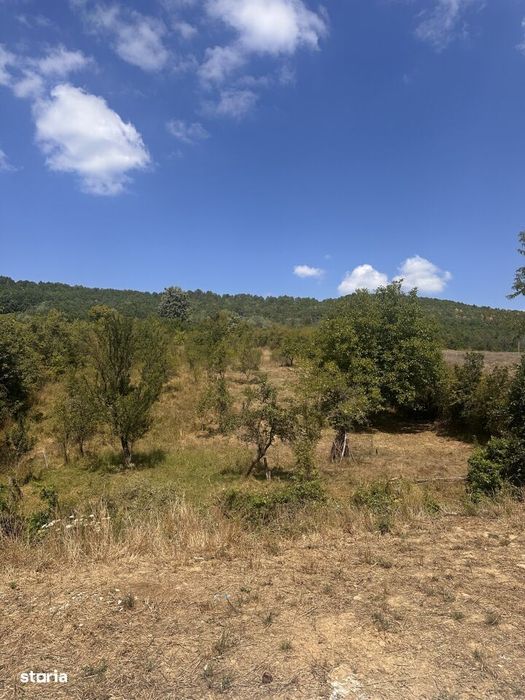 TEREN INTRAVILAN - 2500 MP - Valea Mare- Podgoria