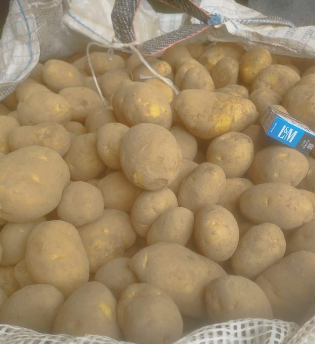 Cartofi Polonia rosii / albi si diferite legume