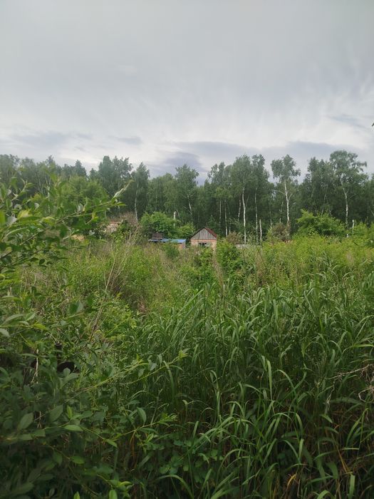 Продам дачный участок