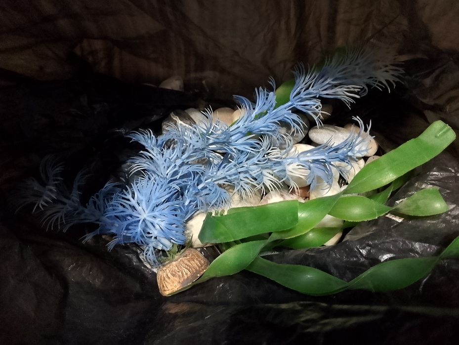 Аквариум 10-13 литров