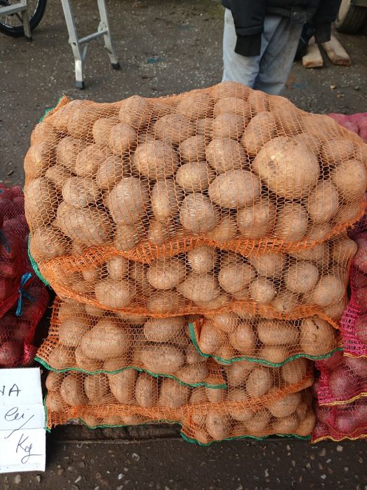 Cartofi de consum și sămânță