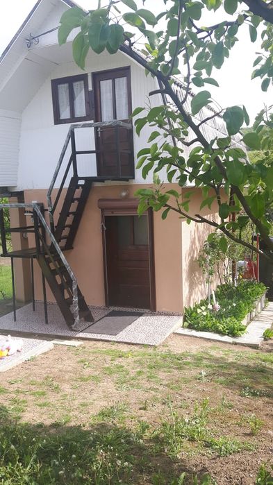 Covorașe mocheta + cabana