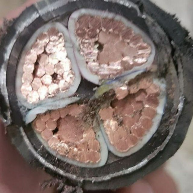 Kabellar bor barcha turdegi optim narxda xarid qiling Uzkabel pro cab