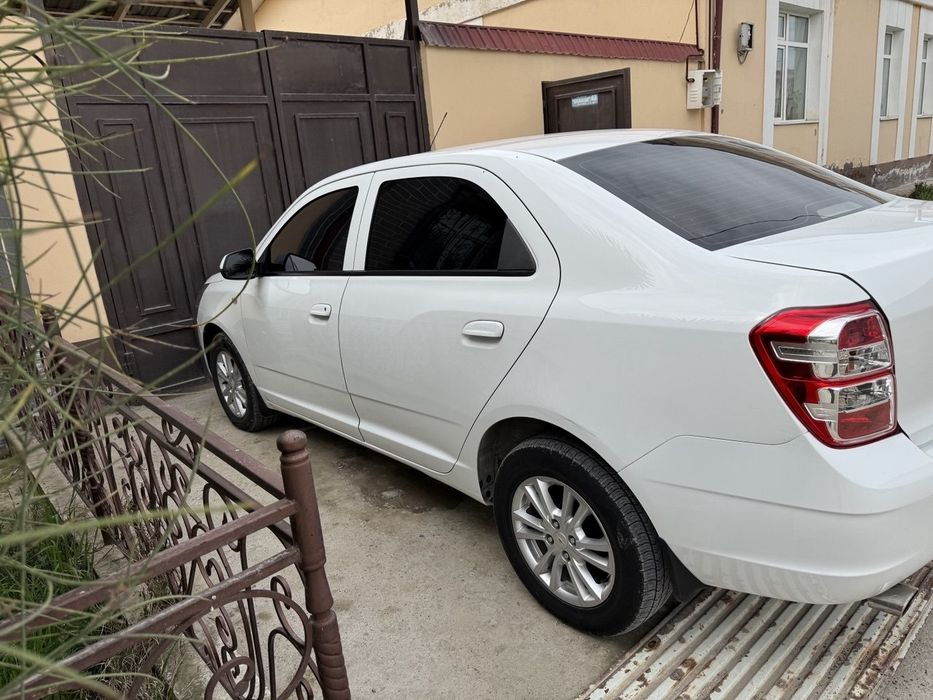 Краскаси тозза.                    .