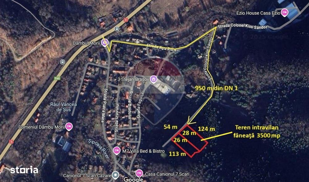 Teren intravilan, 3500 mp, Dâmbu Morii