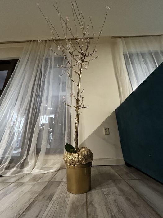 Декоративно дърво