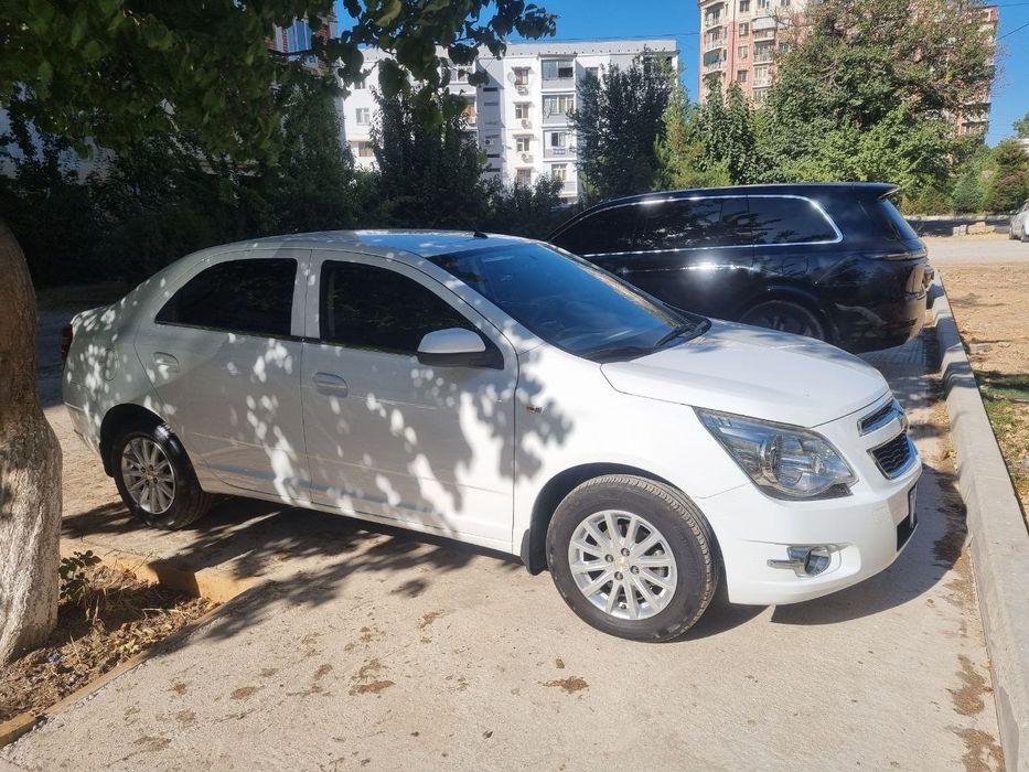 Cobalt 2019 4-poziciya