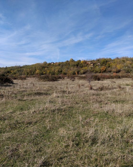 Продава се Парцел в Дупница - 2500 кв.м за 2 €/кв.м - Снимка #1