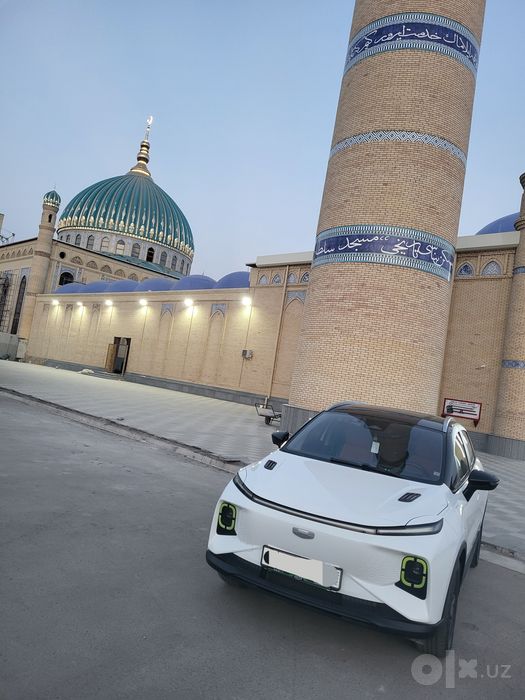 Geely Geometry E 401km
