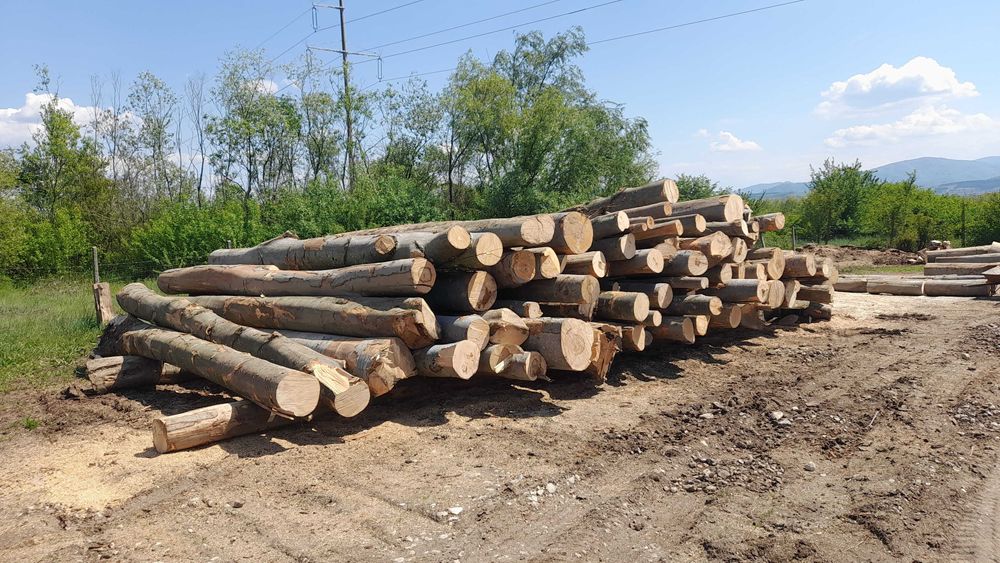 Vând lemne de foc–FAG (esență tare),deșeuri din brad și cherestea!