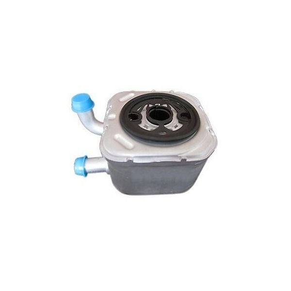 Radiator racire ulei, termoflot Audi A4 2000-2004, A6 2001-2004, A6 1999-2001, A8 1998-2002; Skoda Superb 2002-2003; VW Passat (B5) 2003-2005, 2.5 TDI, 4.2 V8, fagure brazat, OE 059117021B, SRLine