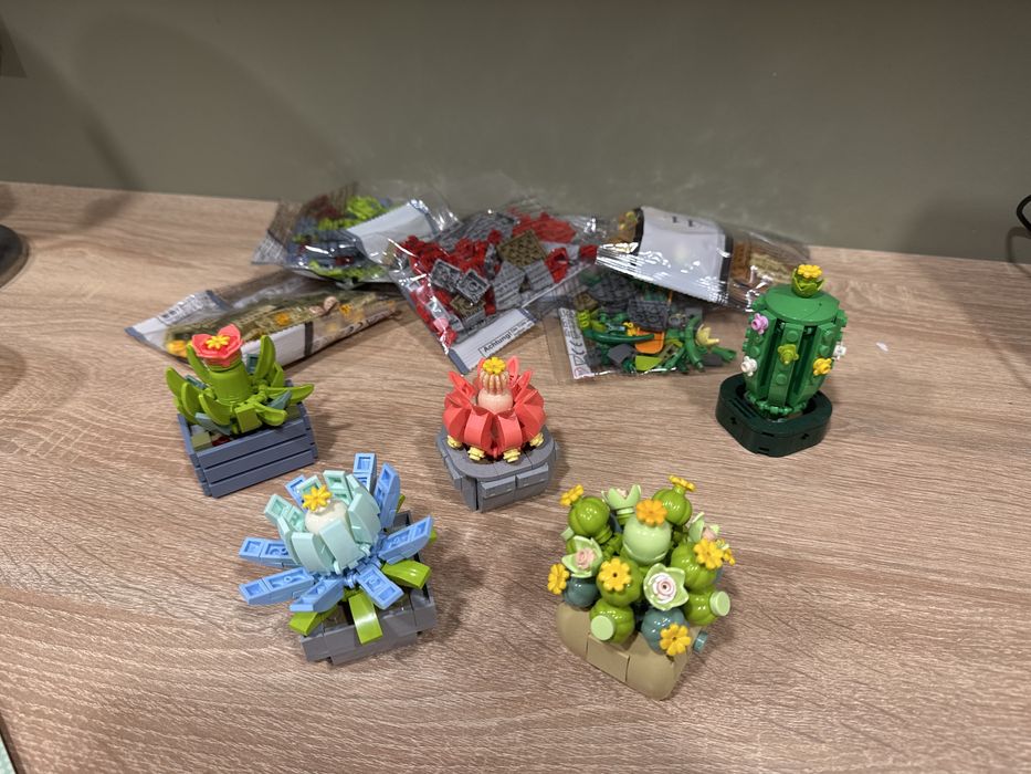 Конструктор цветы суккуленты