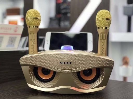 Доставка  Новый Караоке микрафон