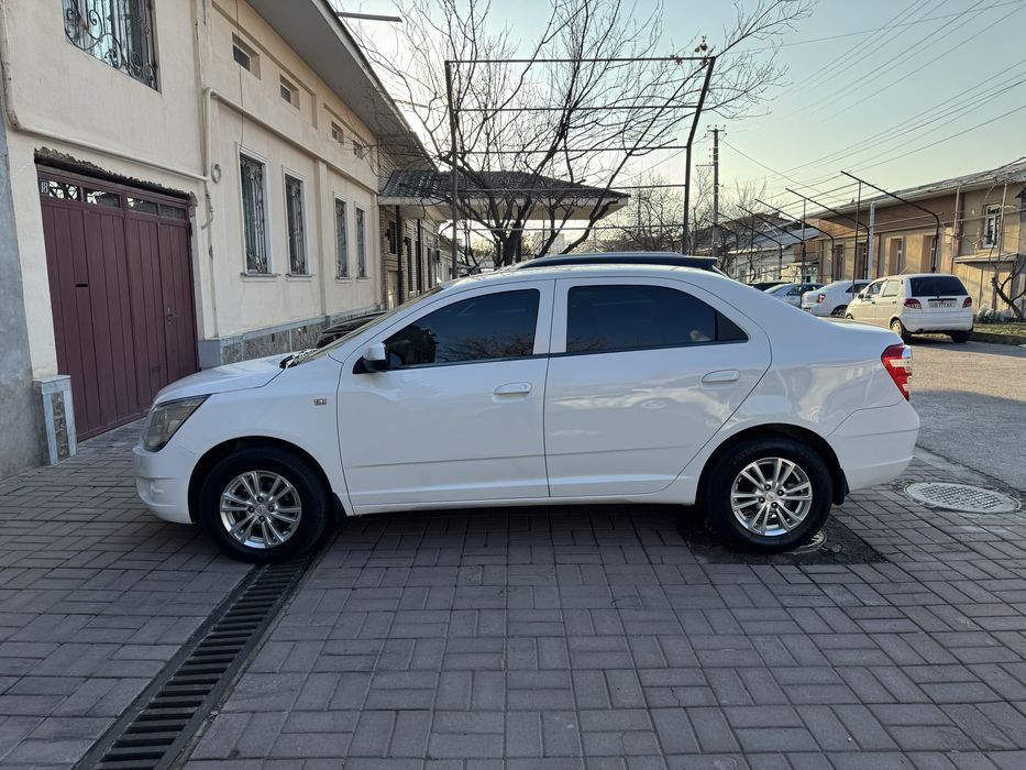 Kobilt 2023-yil sotiladi yoki arenda