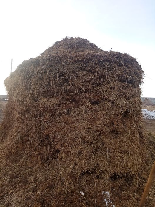 Продам навоз. Чистый. 200 тенге мешок.