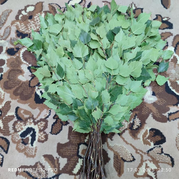 Берёзовые веники