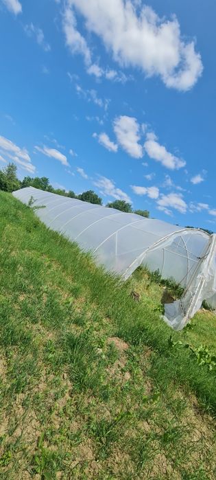 Solar pentru legume