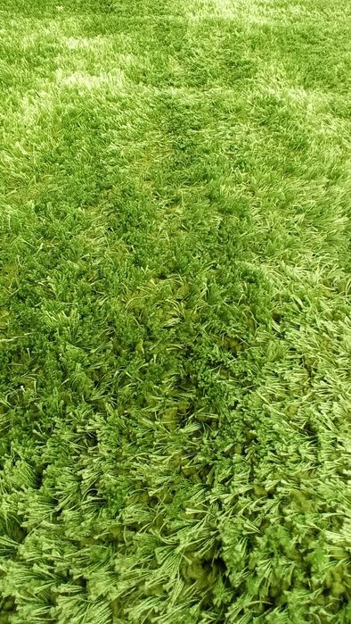 Килим рошав ( shaggy)