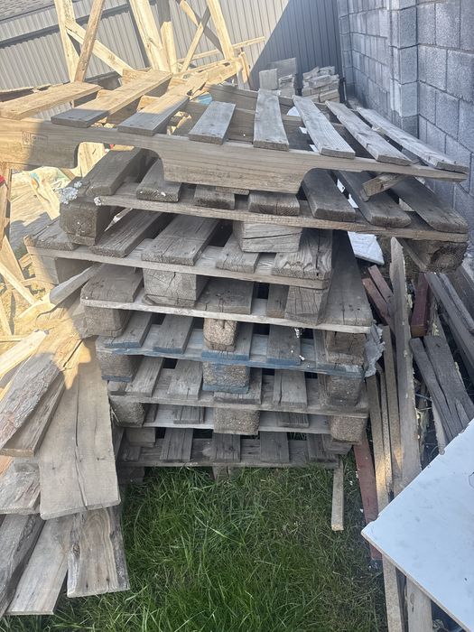 Падоны отдам за 3000