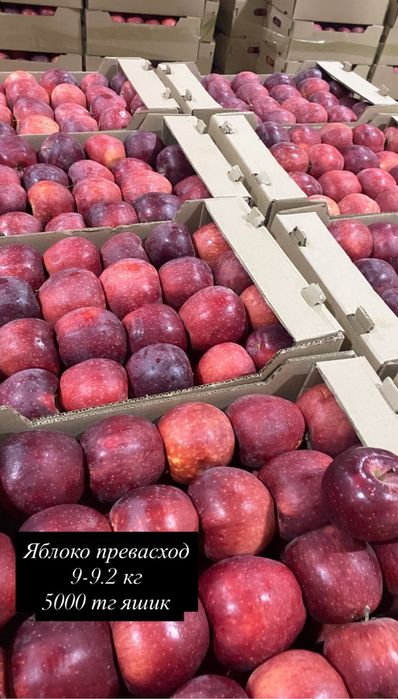 Алма Мандарин свежие