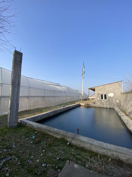 Теплица аренда