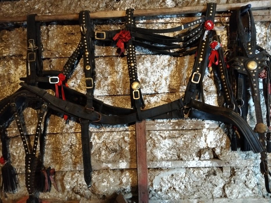 Căruță. Ham de București