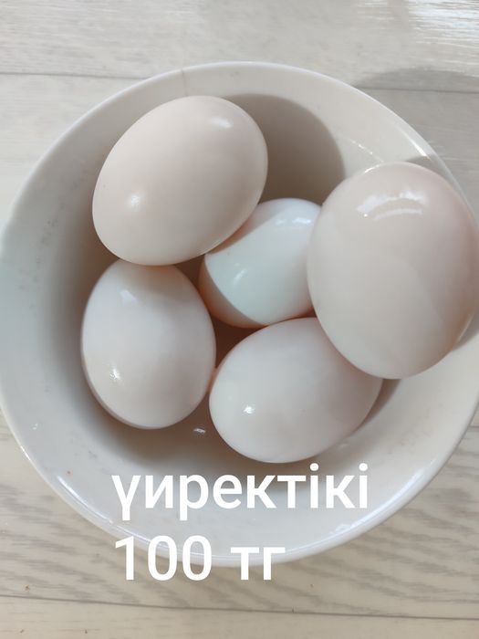 Утки бролерные Агидель 6 месаца