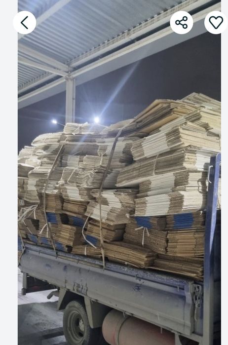 Маклатура оламиз ок когоз оламиз