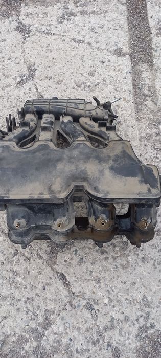 Коллектор (паук)на приору