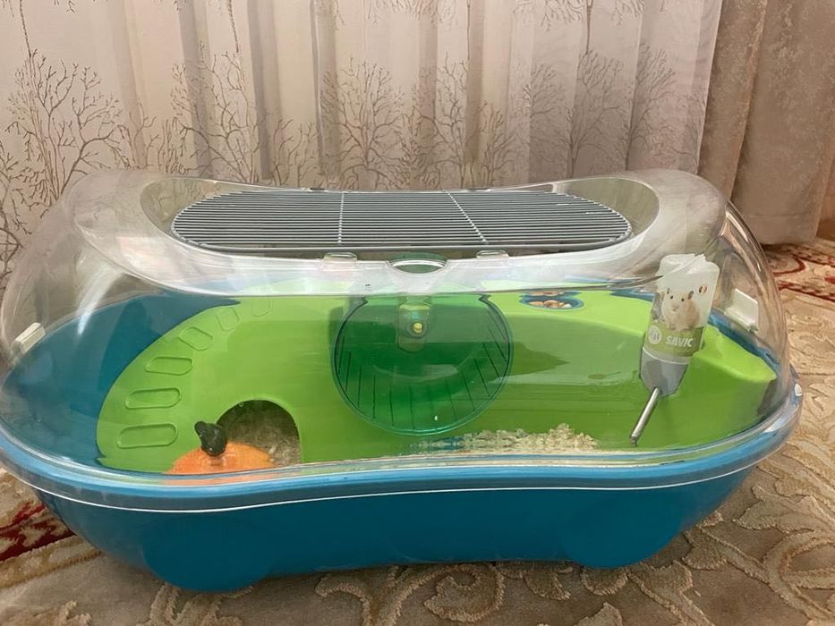 Продам хомячков ;семейка хомячков