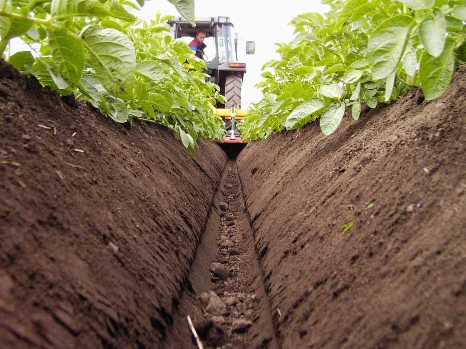 ZIBO Super-sapă cartofi bilonatoare