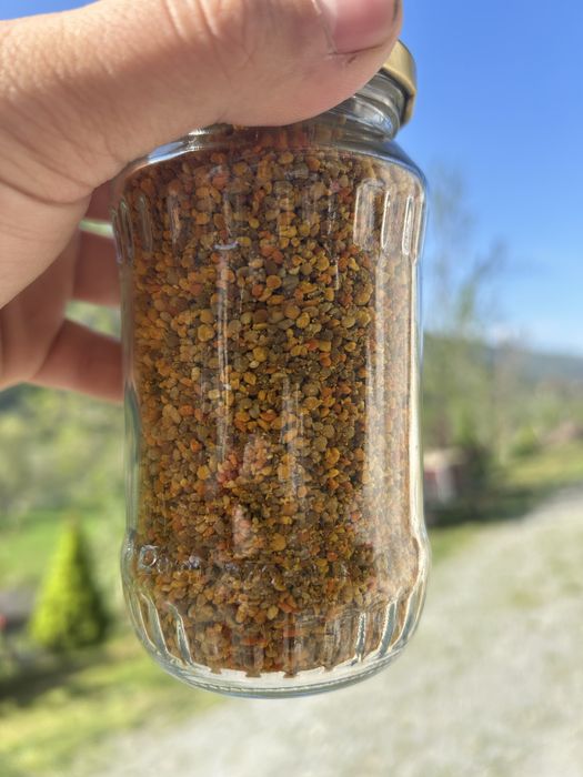 Polen crud poliflor din zona montana