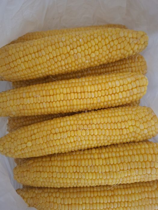 Кукуруза оптом сладкая
